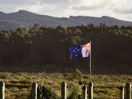 New Zealand Flag in a Clearing near the Forest